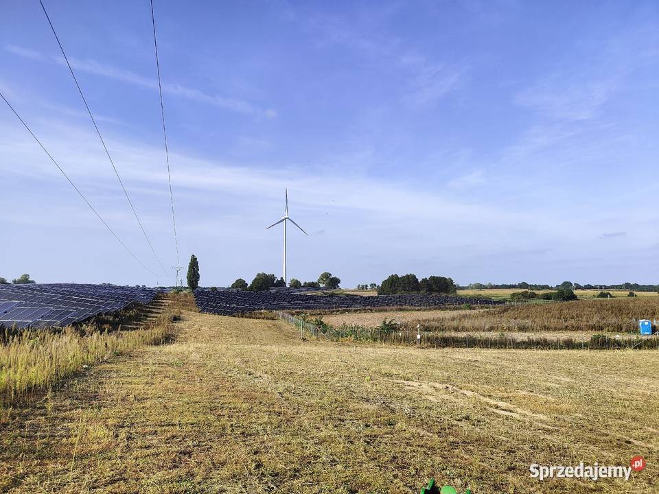 Koszenie farm fotowoltaicznych nieurzytkow Bydgoszcz ogród