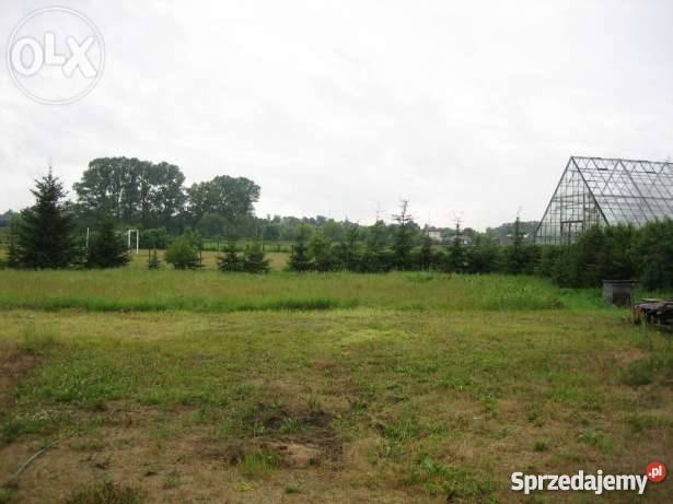 Sprzedam dom z dzialka BIELSK PODLASKI do zamieszkania Bielsk Podlaski