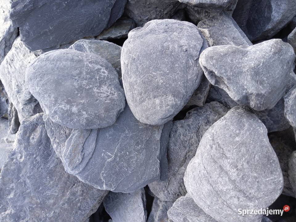 OTOCZAK FILITOWY Micigózd