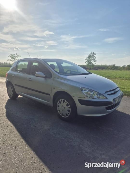 Peugeto 307 Skierniewice
