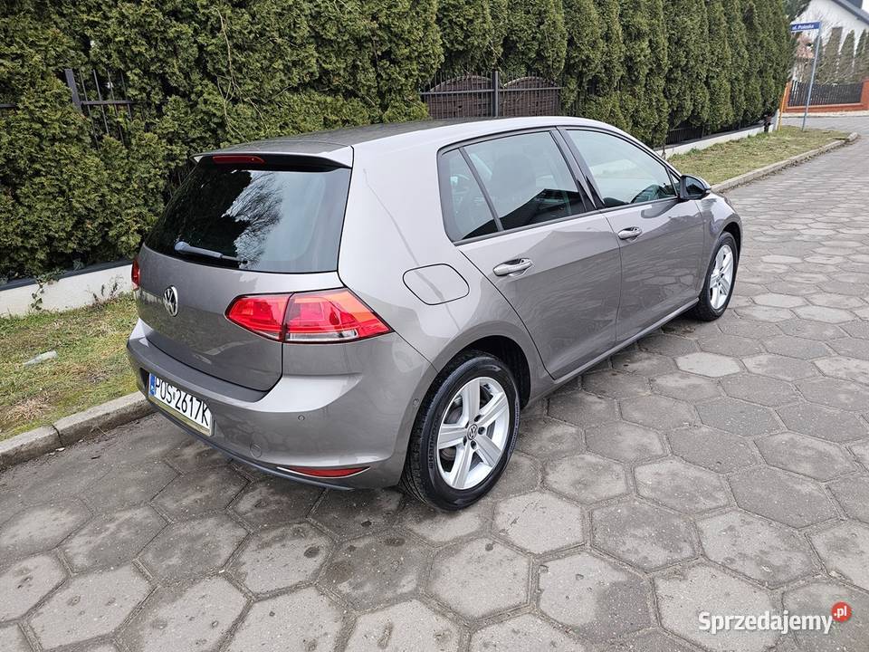VW Golf VII 14 TSI 122 2013 r Zarej Bogate Ostrów Wielkopolski