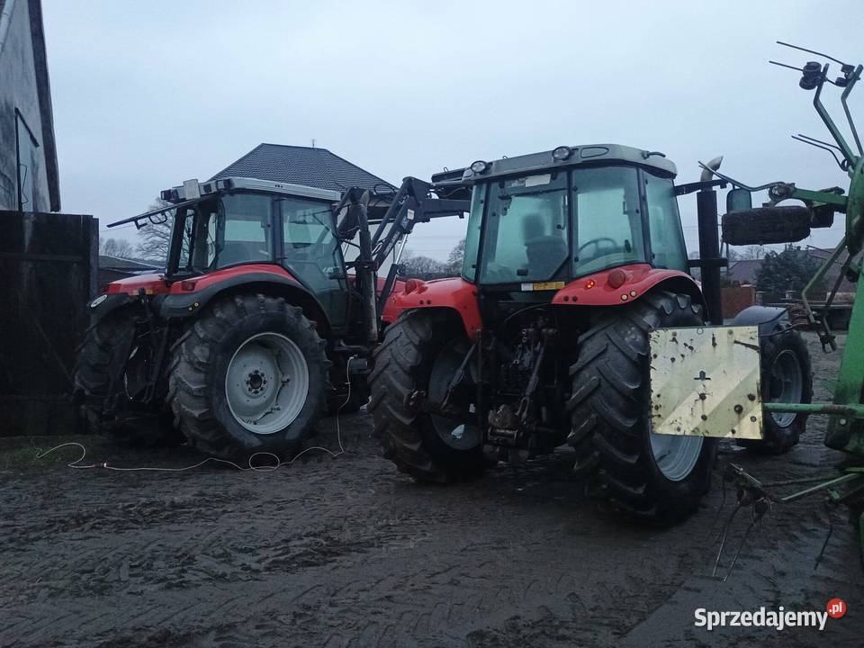 Massey Ferguson do wyboru Ostrów Mazowiecka