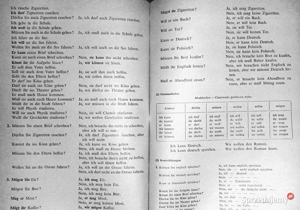 Polnische studenten lernen deutsch Grundstufe Chełm