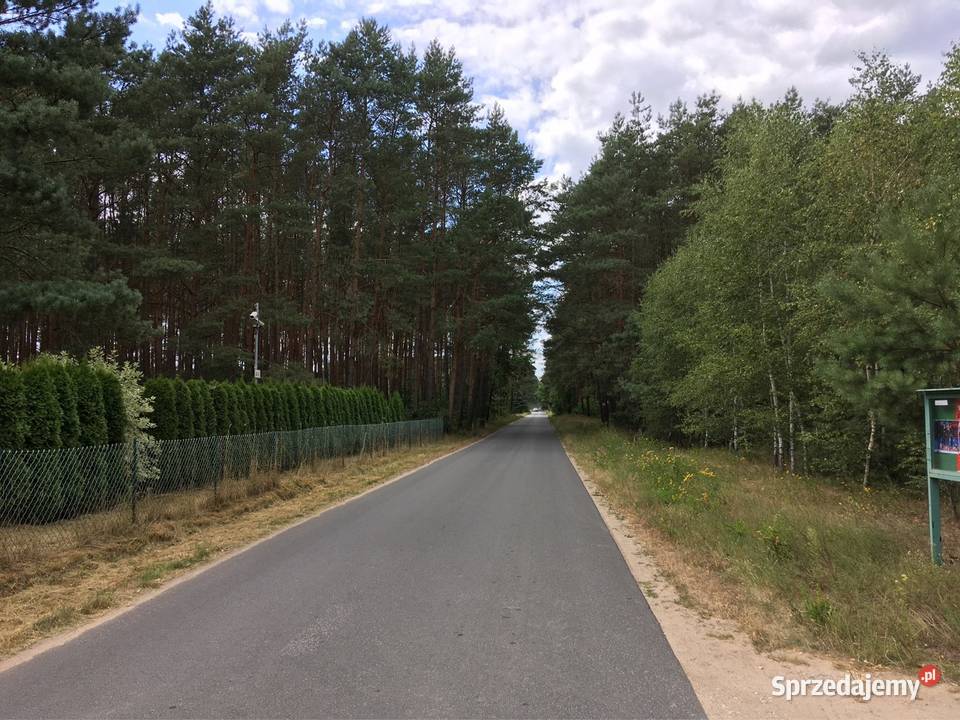 Ziemia Chojno Młyn leśna