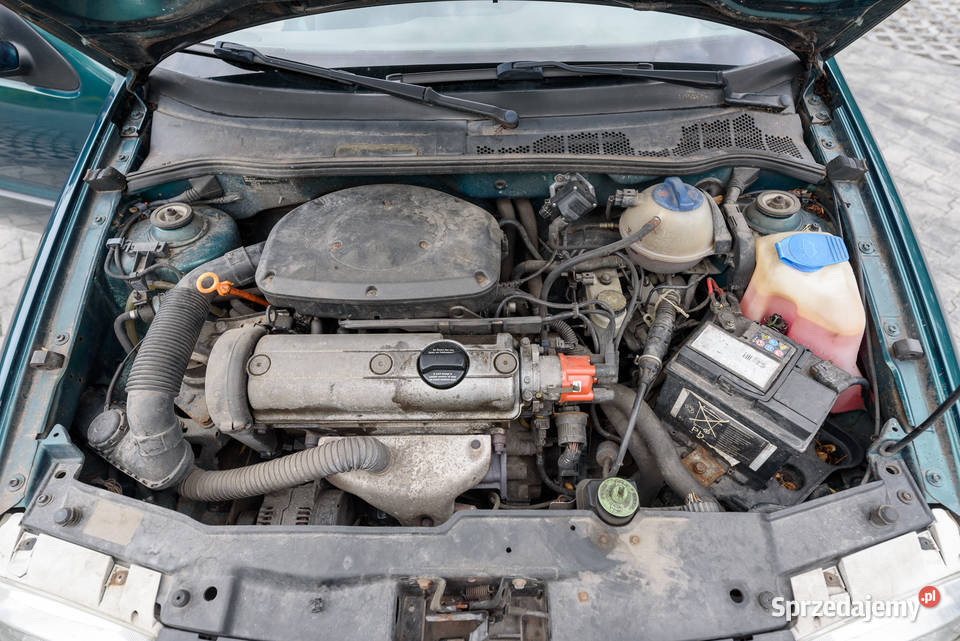 Polo III 6N 10 50 wersja XXL faltdach Polo Łódź