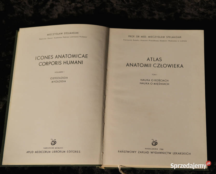 Atlas anatomii człowieka W Stelmasik Warszawa Sosnowiec