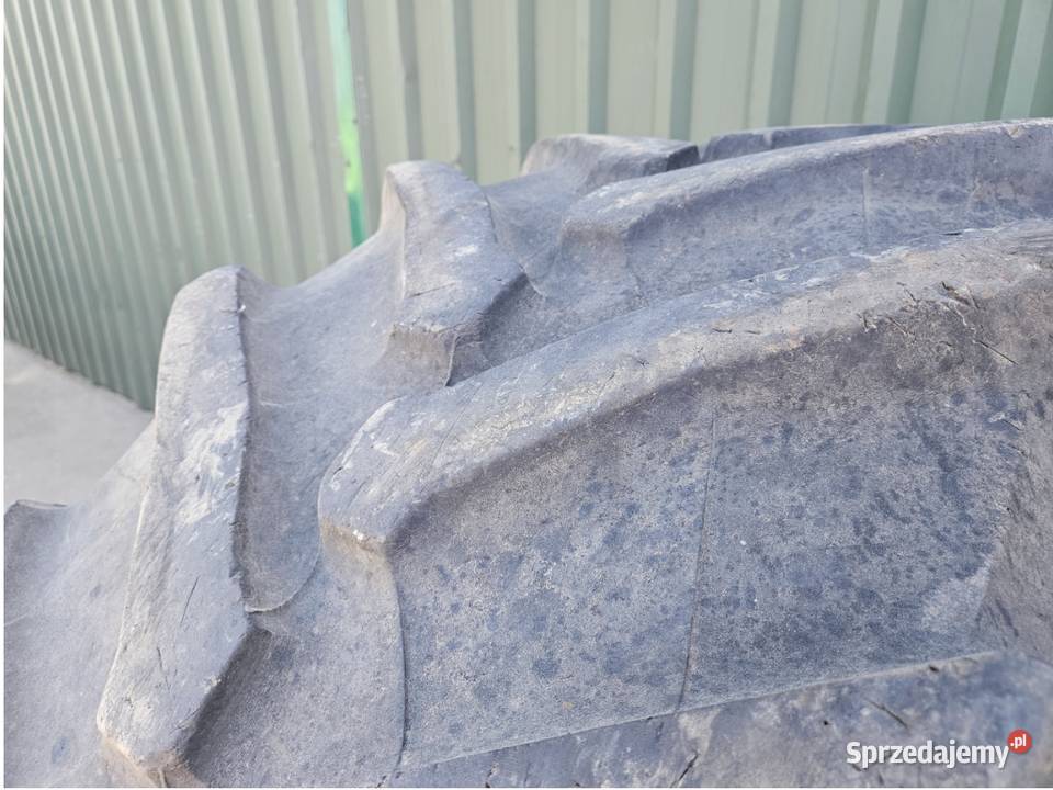 Opona Pirelli 54065 R 34 Tm 800 54065r34 Szprotawa