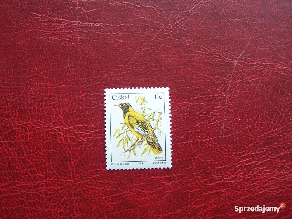 Ciskei 1984 MNH Mi 56 Fauna Ptaki Tychy