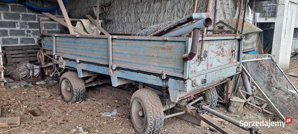 Rozrzutnik obonika dolnośląskie Wrocław