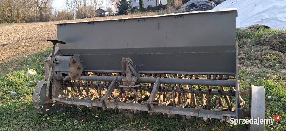 Siewnik Poznaniak Książ Wielki