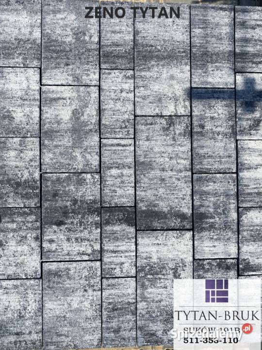 Forbet Kostka BrukowaZENOTytan Piryt Muszla Kielce