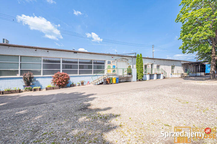 Lokal Opole 8128m2