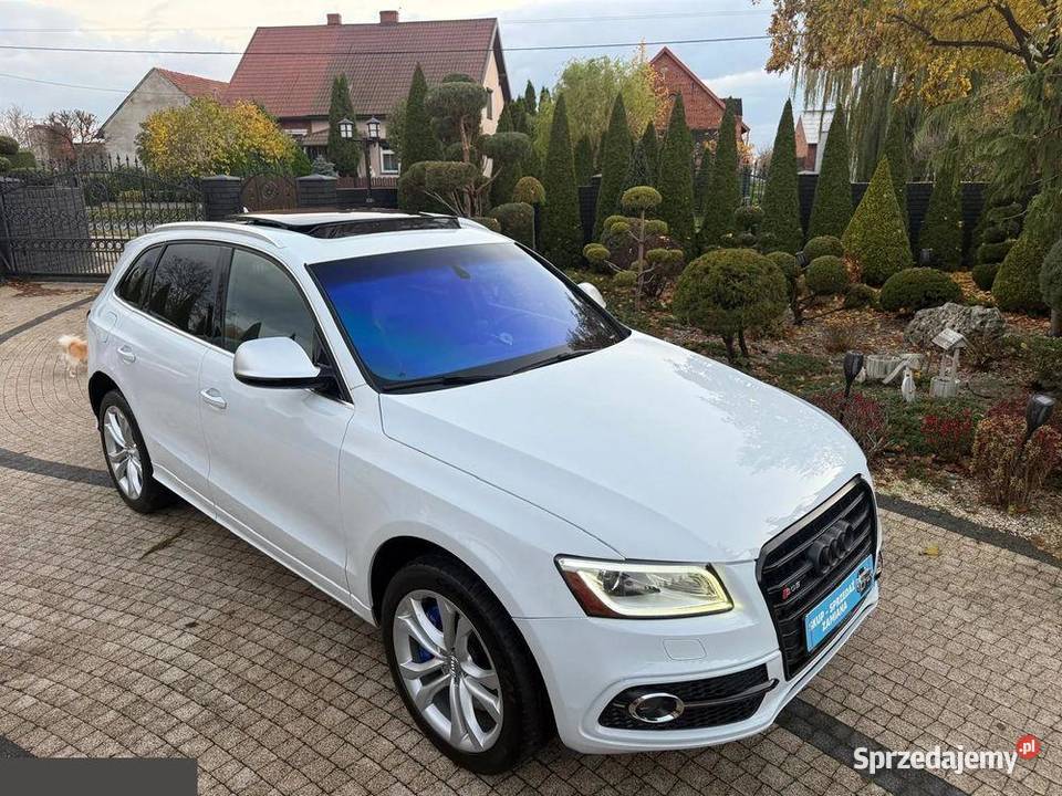 Audi SQ5 30 TFSI Quattro Tiptronic 354 2016r wielkopolskie Krotoszyn sprzedam