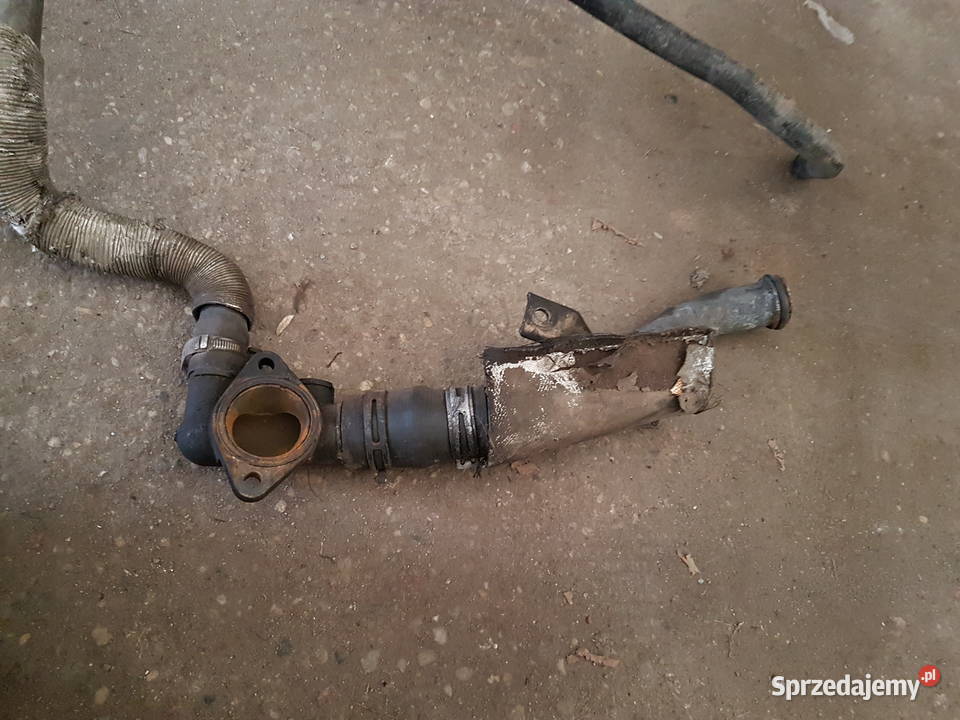 OPEL ASTRA H III 17 CDTI WAZ PRZEWOD RURA WODY osobowe wielkopolskie