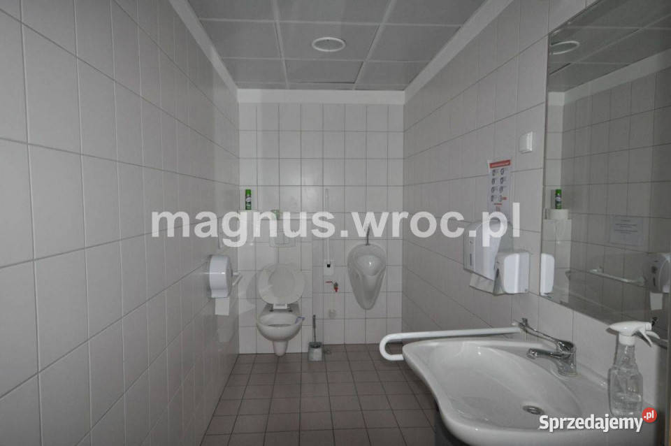 Powierzchnia biurowa do wynajęcia Ilość pomieszczeń 13 sprzedam
