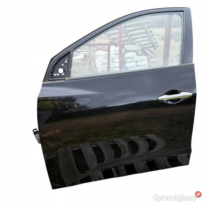 Drzwi Lewy przód przednie Lewe Kolor PAE Hyundai Karoseria Barłogi