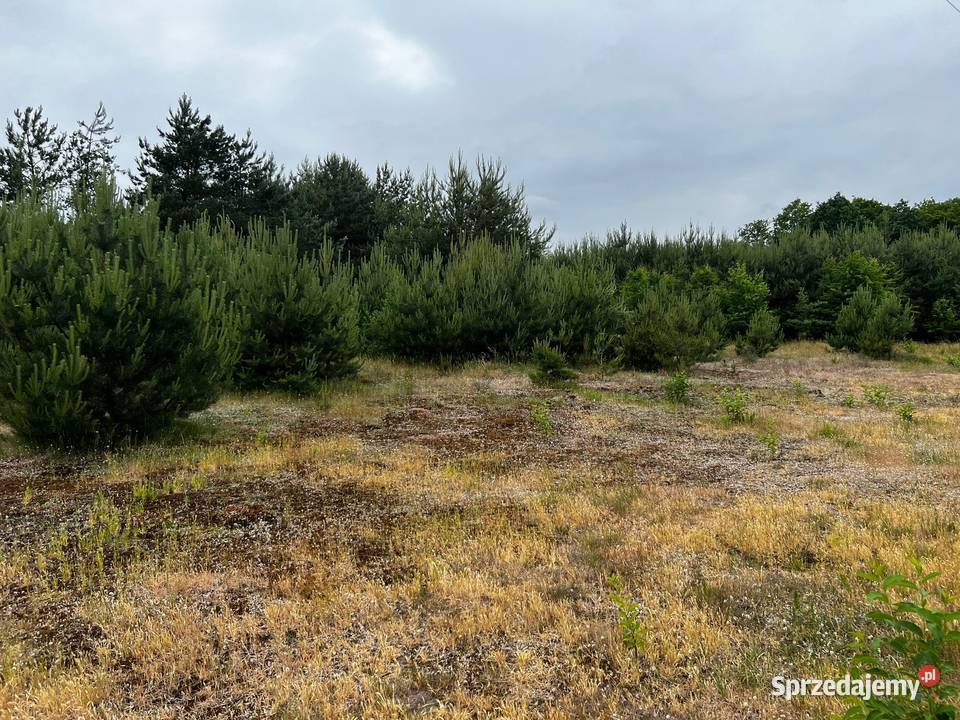 Działka budowlana Sprzedaż kujawsko-pomorskie Łąkie