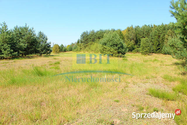 Działki inwestycyjna jeziorem Siecino