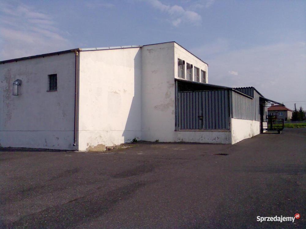 masarnię z ubojnią Piętro 1 Klimontów sprzedam