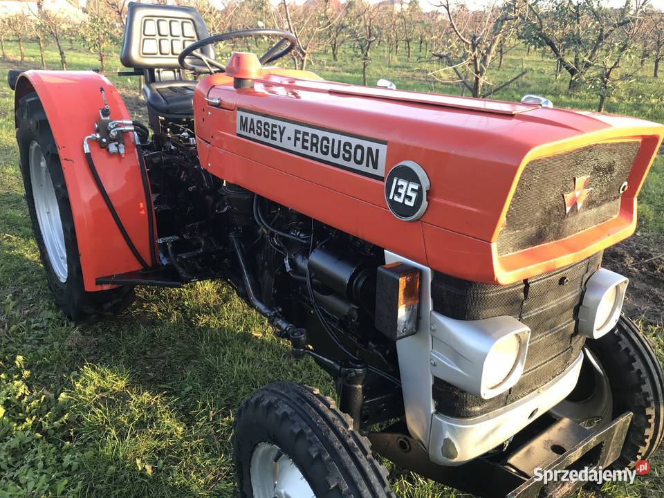 Massey Ferguson 135 Sadowniczy Ogrodniczy Przysucha