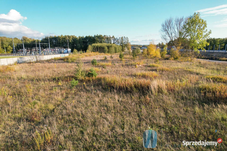 sprzedaży działki Załuski 7195m2