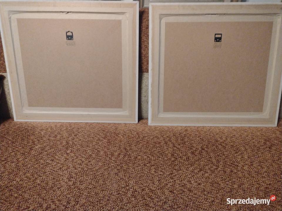 Wydruki francuskich litografii historycznych w Toruń