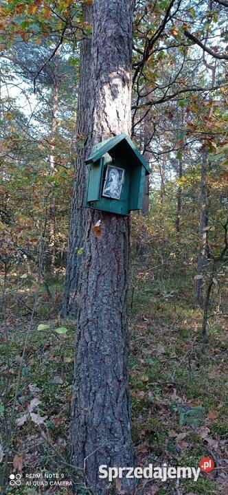 Dolina Liwca i Natura 2000 sasiedzku Sprzedaż Łochów