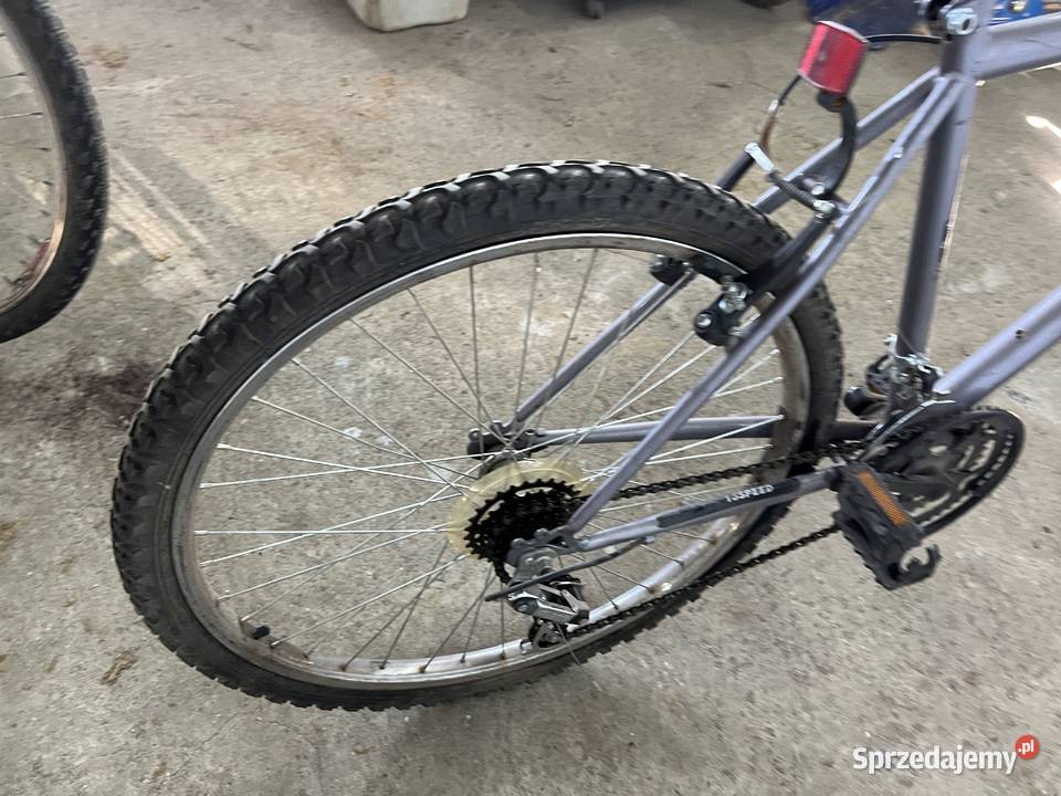 Rower Górski Rocky Wierzbna