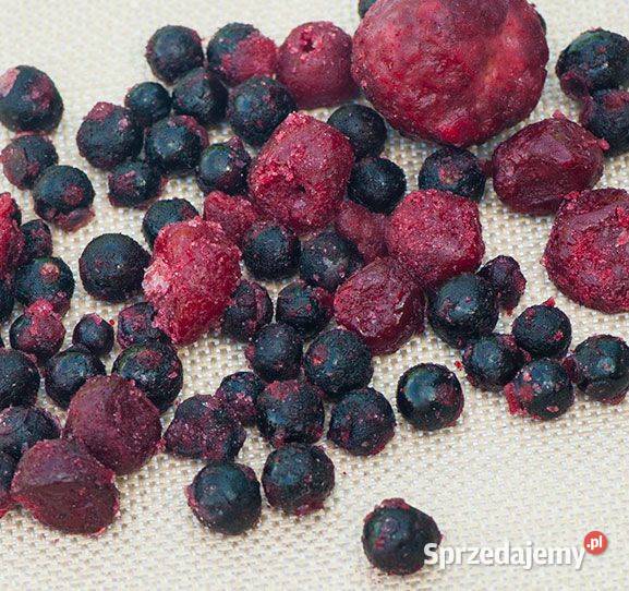 Mata do suszenia wędzenia pieczenia i innych wielkopolskie Luboń