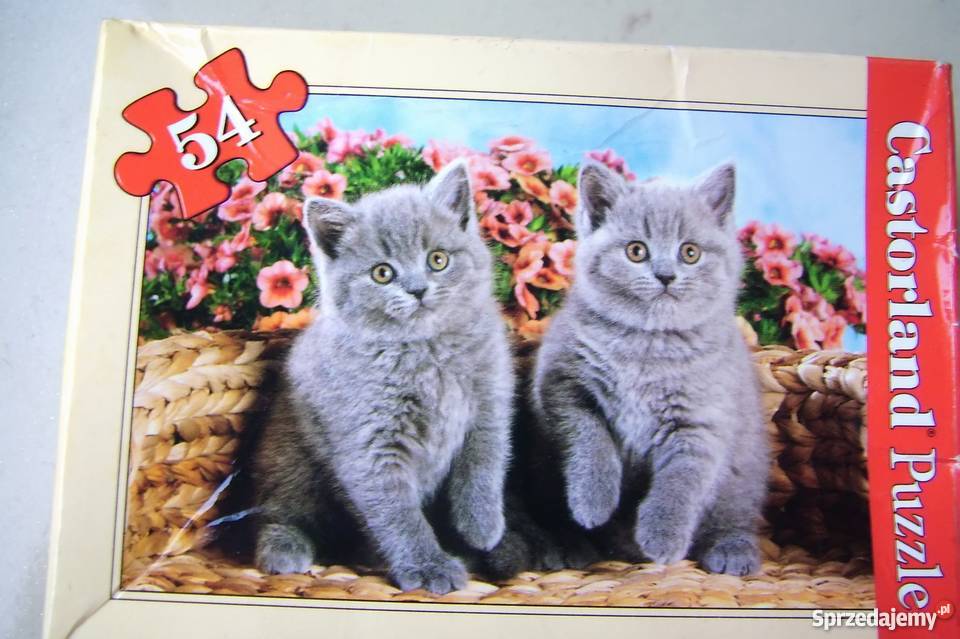 Puzzle 54 elementy Zawiercie sprzedam
