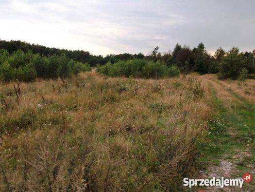 Do Działka Rolna w gm Strzegowo Mława sprzedam