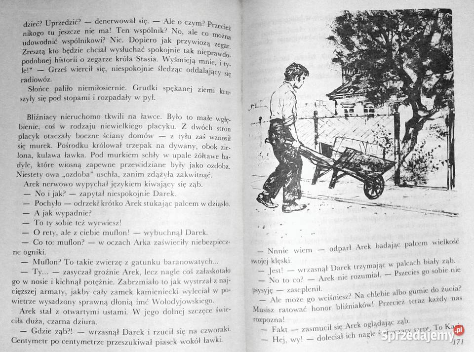 Gdzie jest zegar mistrza Kukułki Krystyna Boglar miękka Chełm