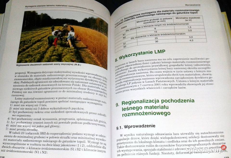Leśna baza nasienna w Polsce Wojciech Fonder Jan Rok wydania 2007 Chełm sprzedam