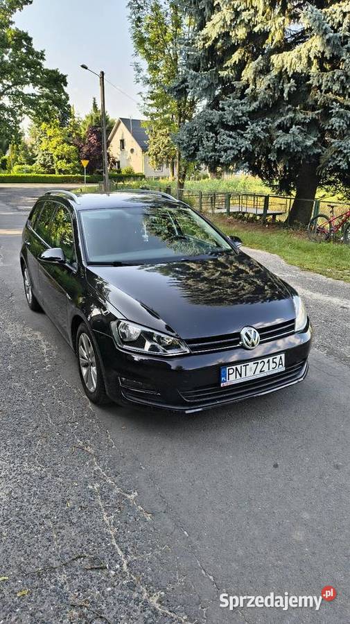 VW Golf VII Wariant 10 115
