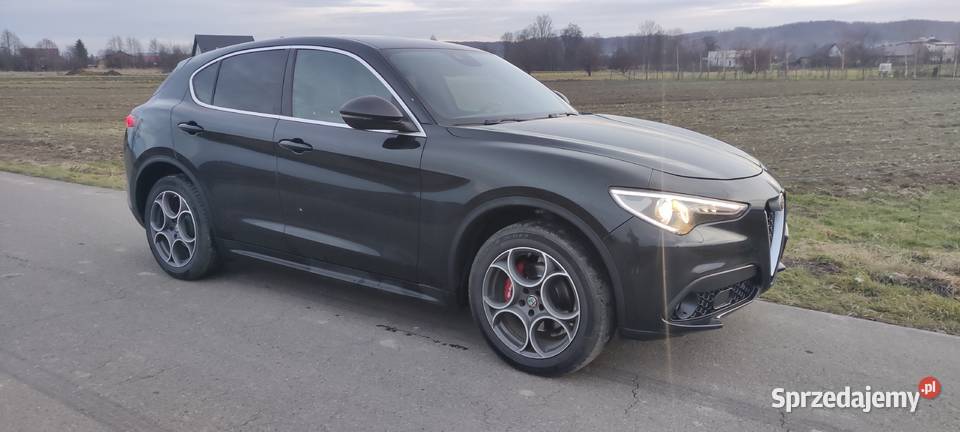 Alfa Romeo Stelvio Wróblik Szlachecki