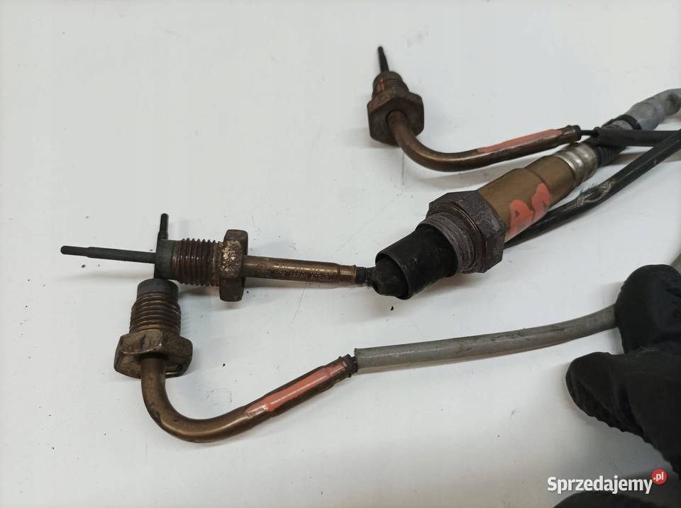 SONDA LAMBDA CZUJNIK TEMEPRATURY 04L906088EG świętokrzyskie