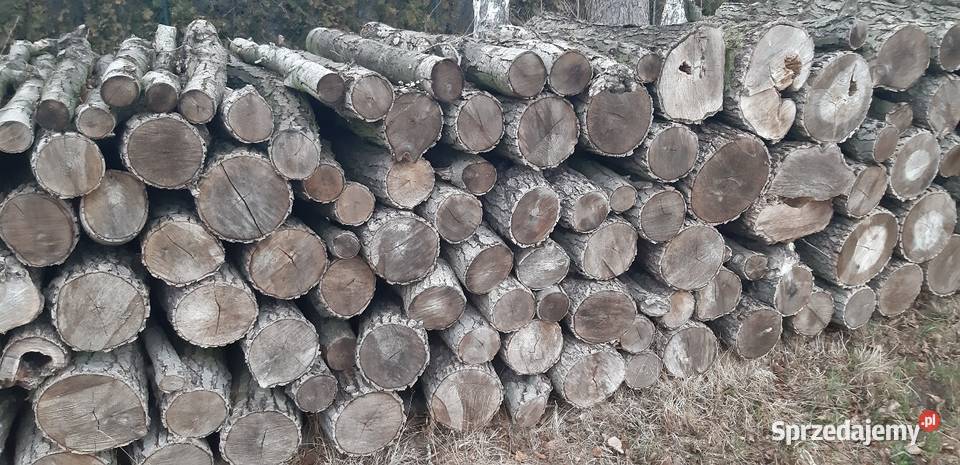 Drewno Radgoszcz