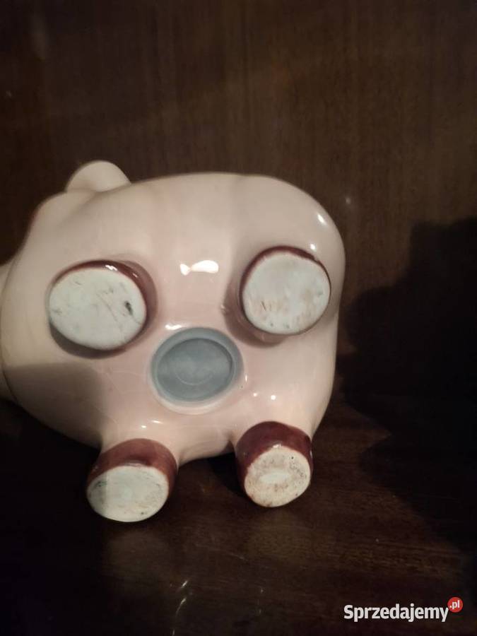 Skarbonka duża Świnka mazowieckie Warszawa