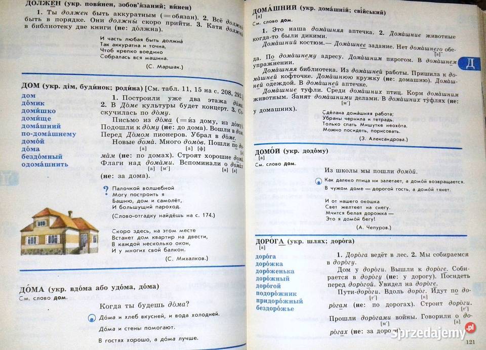 Russkij Jazyk w kartinkach Slowar Język rosyjski twarda Chełm