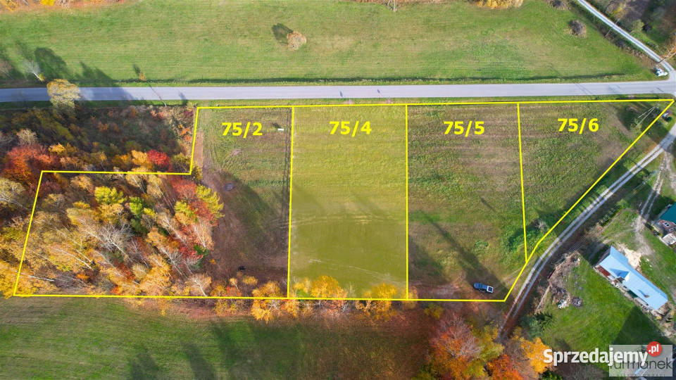 Sprzedaż działki TeodorówkaKolonia 2636m2 Teodorówka-Kolonia