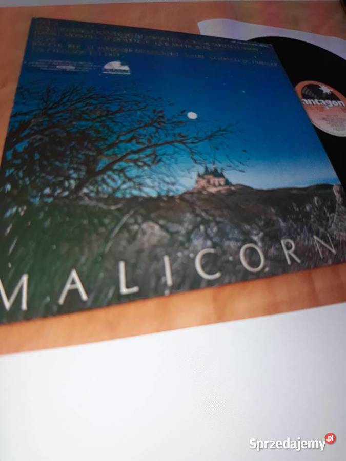 Archiwum Prog Folk Rocka MALICORNE Malicorne Rzeszów