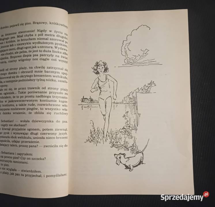 Zbigniew Nienacki Księga strachów Wyd Pojezierze Koźminek