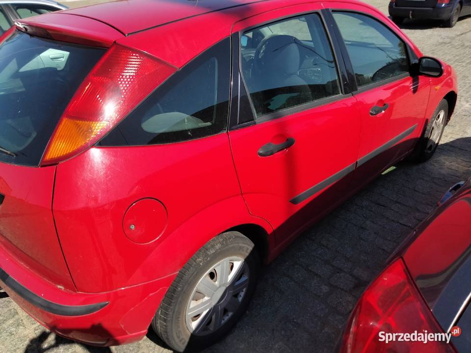 Sprzedam forda Focusa 2003 16 benzyna Focus Chojnice