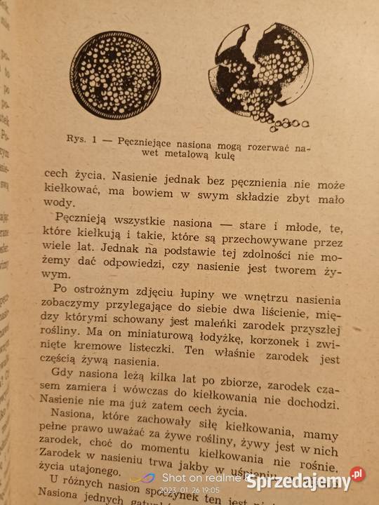 Powszedni dzień roślin Starck książki Warszawa mazowieckie