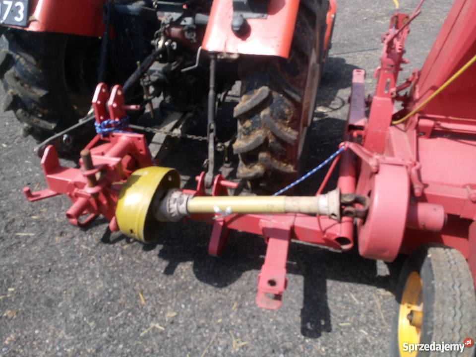 Taarup kvernelan scinacz zielonek orkan kujawsko-pomorskie Radomice