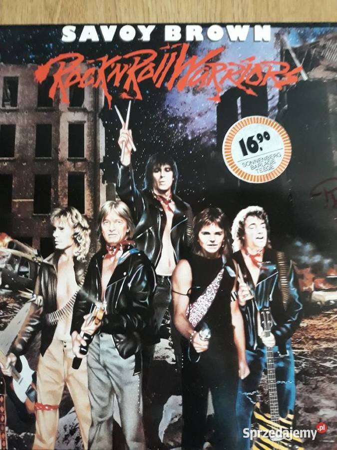 Płyty winylowe Led Zeppelin IV V Płyty i kasety Rzeszów