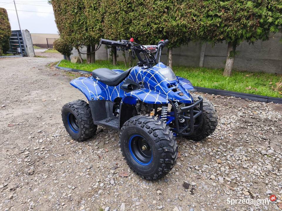 Quad ATV 125 3 Automat wsteczny podkarpackie Jarosław