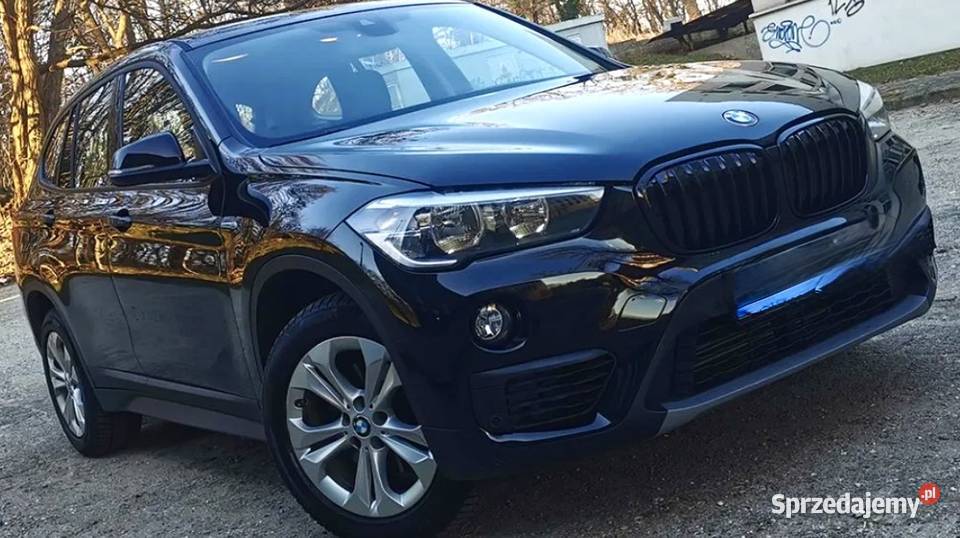 Na sprzedaż BMW X1 zachodniopomorskie Szczecin