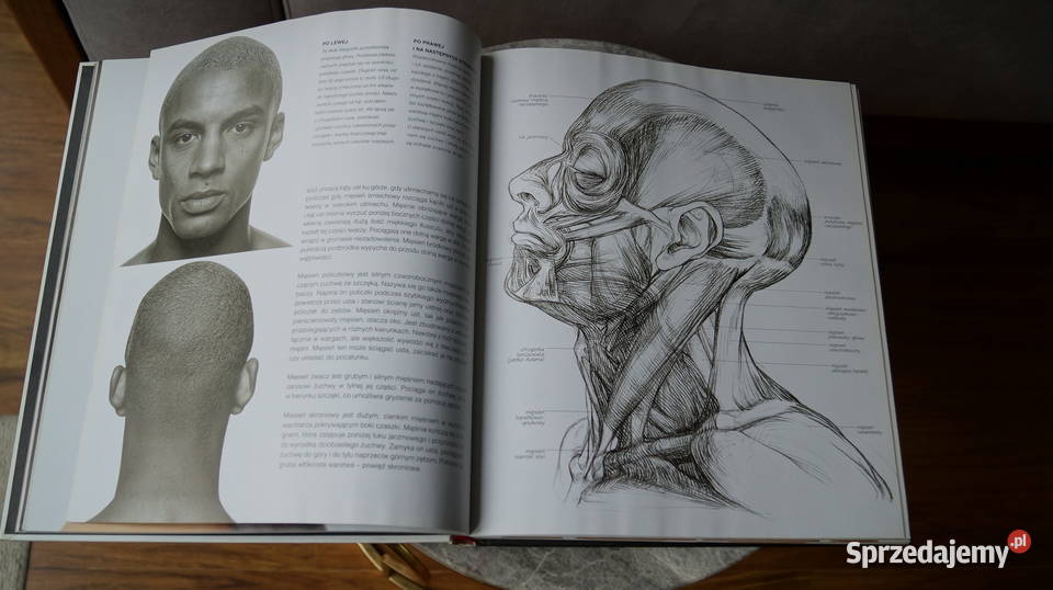 Anatomia artystów Sarah Simblet Rok wydania 2007