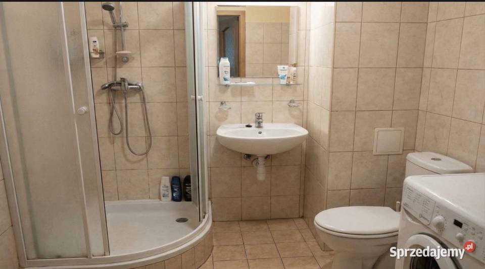 Sprzedam Mieszkanie OsGórczyn 495m2 sieć